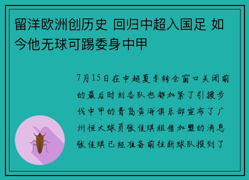 留洋欧洲创历史 回归中超入国足 如今他无球可踢委身中甲
