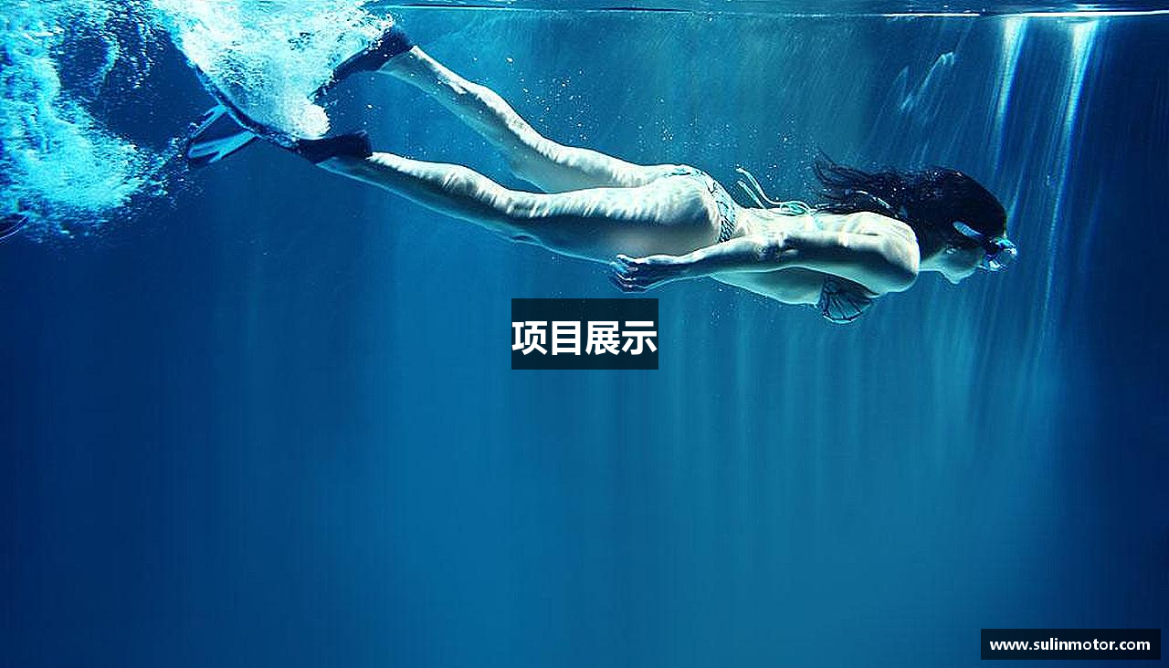 项目展示